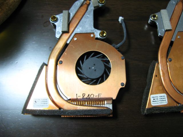 newfan