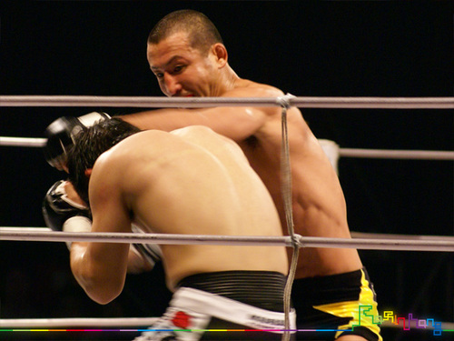 081026_pancrase_24_b