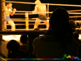 081026_pancrase_16