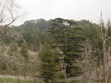 DSC02566.JPG