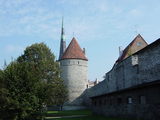 DSC04037.JPG
