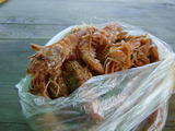 DSC03234.JPG