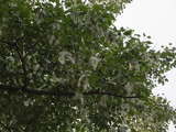DSC03165.JPG