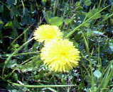 200504051445000.jpg