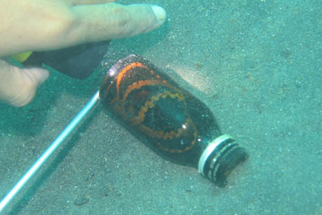 tako