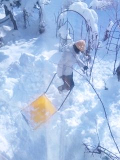 2012_01_06_d