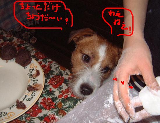 ちょうだいな