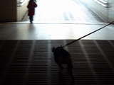 地下道