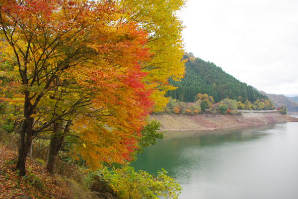 ����