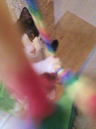 IMG_20151122_1333022