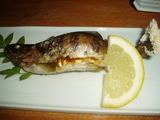 4860031d.jpg