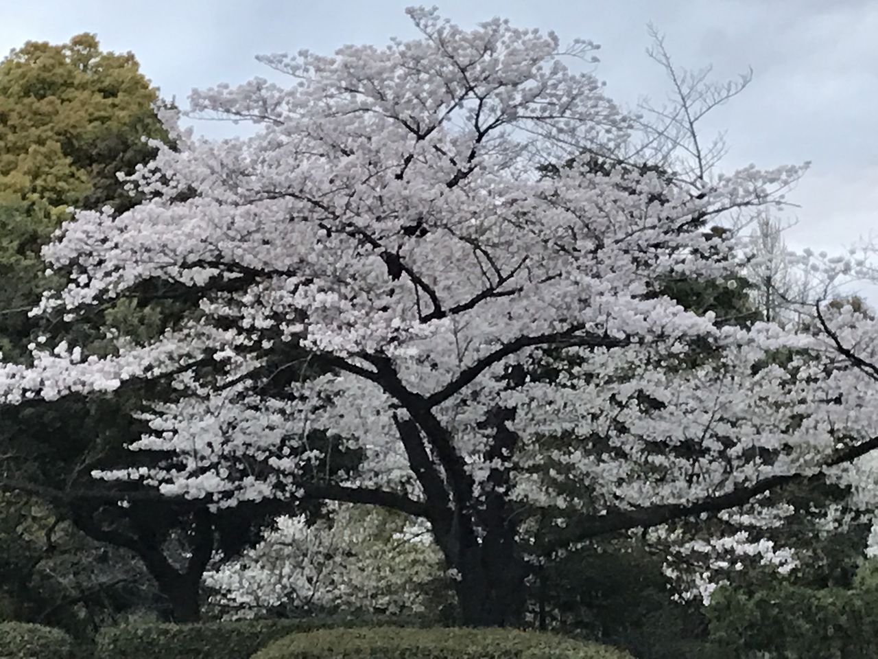 20170422スマフォ取り込み 360