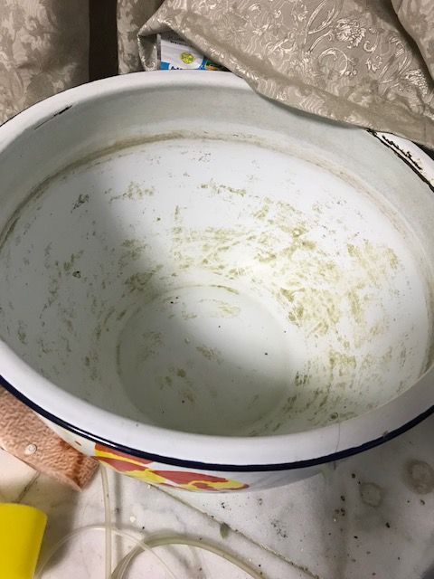 ランちゃん鉢20180518