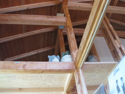 830084f0.jpg