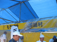 e96149aa.jpg