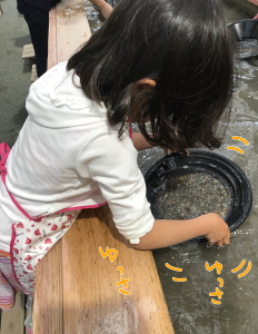 砂金写真1