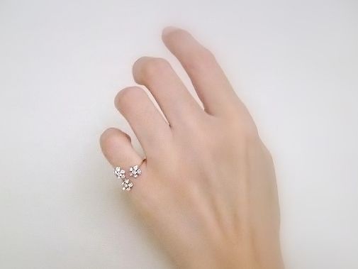BLOG1979-p (2)