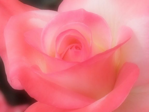 BLOG8521-90-p2