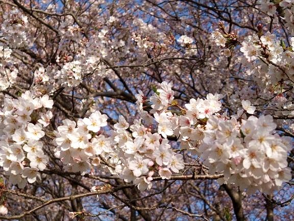 2011-0407-BLOG7859-90 (2)