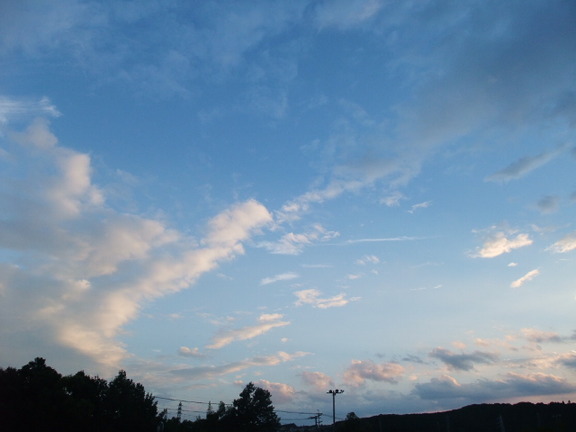 BLOG4649