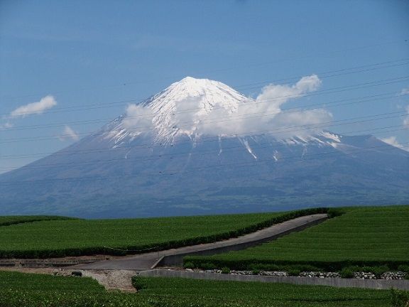 2014-0518-BLOG7958 (2)-90