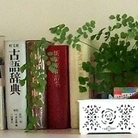 BLOG5947 (4)