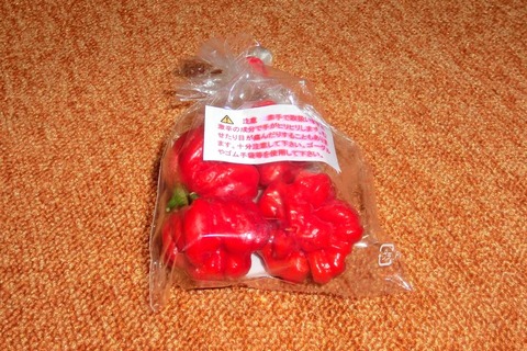 michinoeki_habanero
