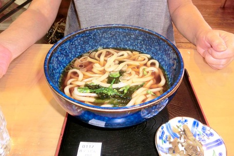 michinoeki_shokuji_udon