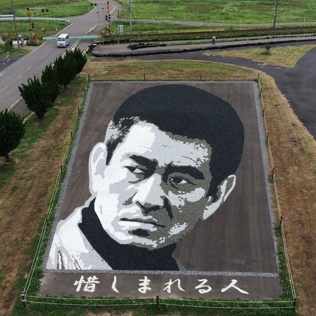 田舎館・田んぼアート。高倉健さん