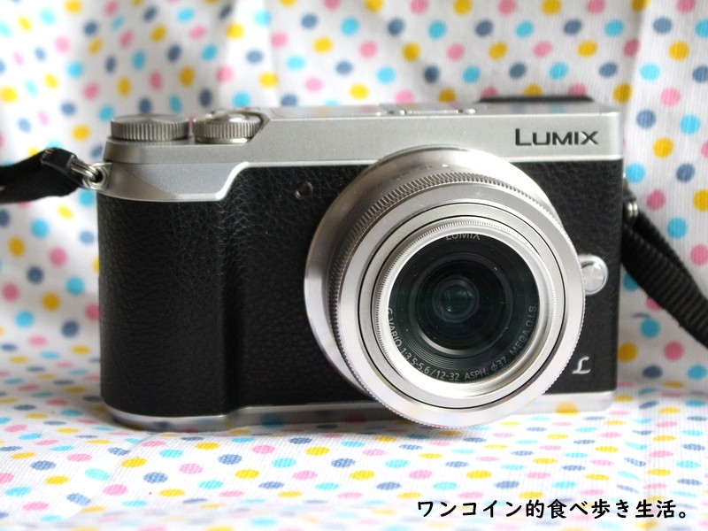 LUMIX GX7mk2¡Ê¤ª»¶Ê⥫¥á¥é¡Ë