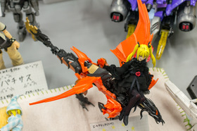DSC02855