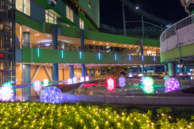 DSC03530