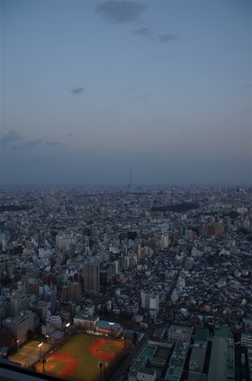 image_1036