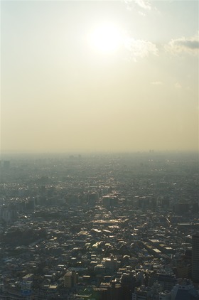 image_1018
