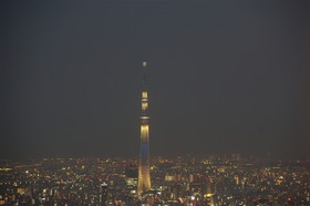 image_1041