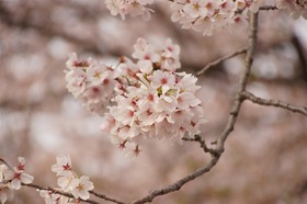 image_1153