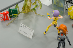 DSC02972