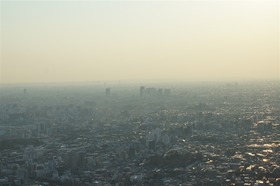 image_1019