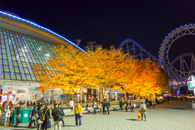 DSC03448