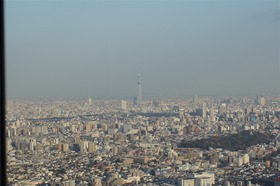 image_1016