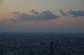 image_1028