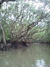 09b51021.jpg