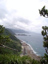 9534d59d.jpg