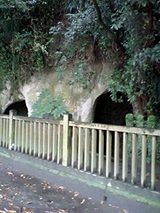 c1d22414.jpg