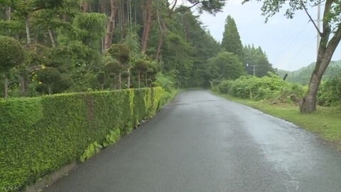 kuma