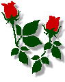 bara