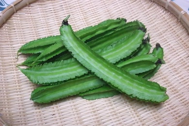 四角豆1