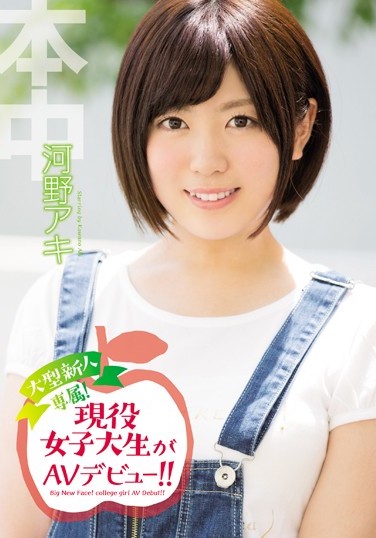 hnd00335pl