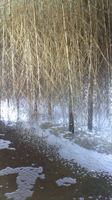 585a83f9.jpg