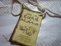 04c842f8.jpg